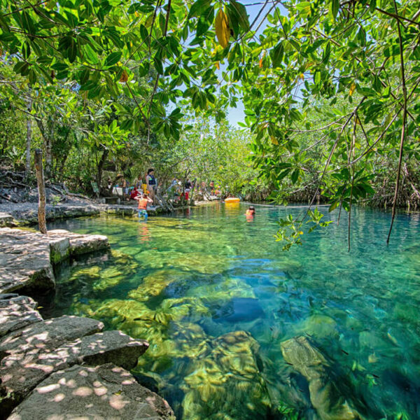 Cenote Azul and Cenote Cristalino Tour SunhorizonDMC