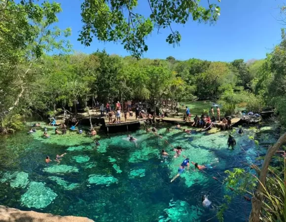 Cenote Azul and Cenote Cristalino Tour