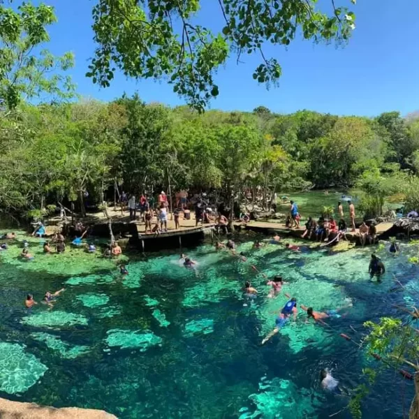 Cenote Azul and Cenote Cristalino Tour